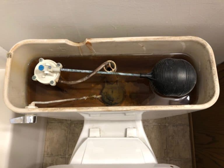 Can You Paint a Toilet? Easy Howto Guide With 6 Steps Little Upgrades