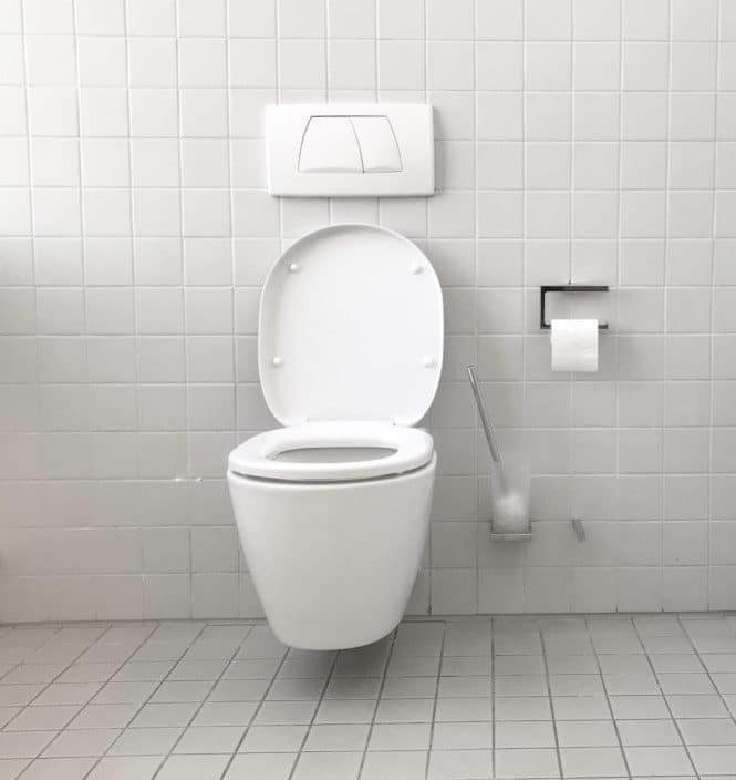 Wood vs. Plastic Toilet Seats The Pros and Cons that