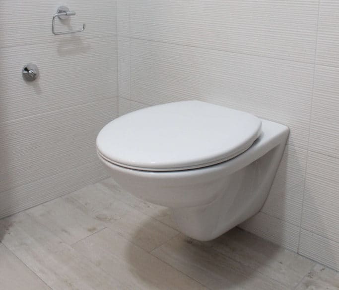 When to replace toilet seat