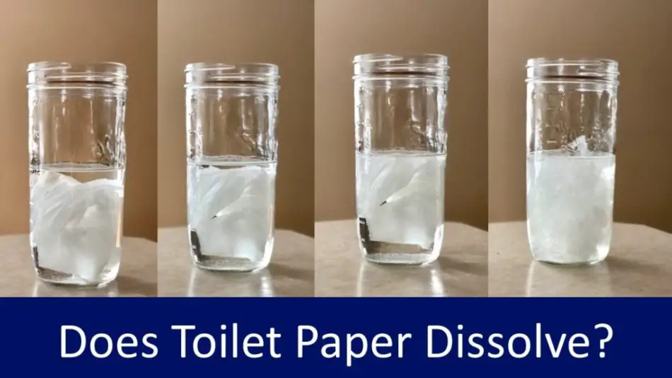 Quick Dissolving Toilet Paper Best Design Idea