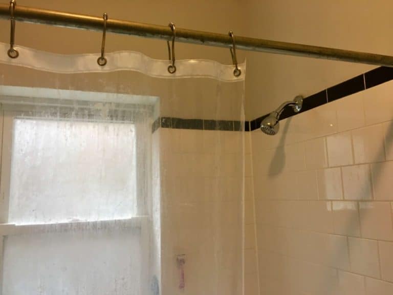 Shower Curtain vs. Liner What's the Big Difference? Little Upgrades