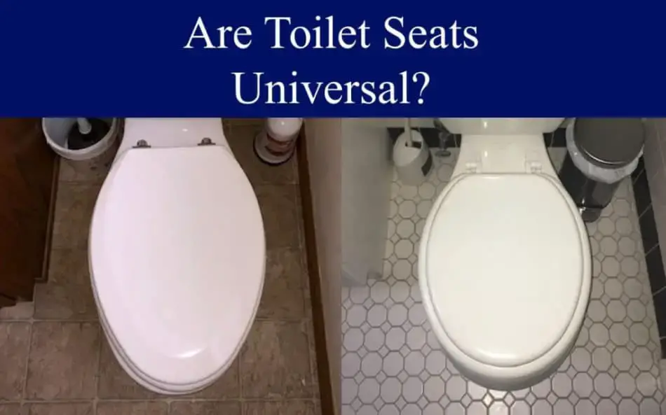 Are Toilet Seats Universal Standard, Difference Between Round And Elongated Toilet Seat