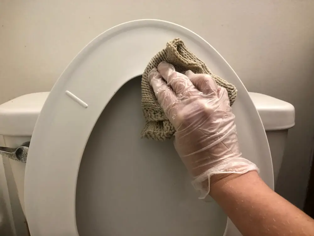 how to clean the bottom of a toilet seat